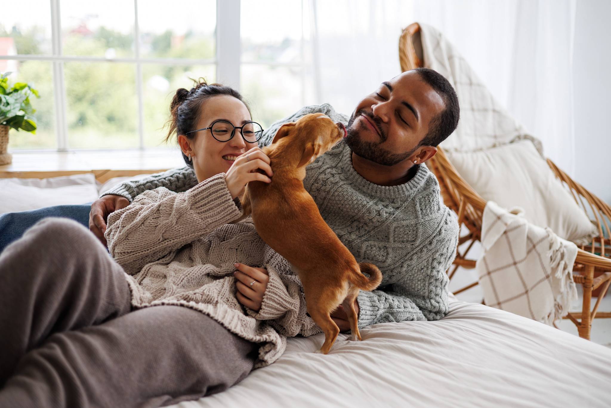 Pet-friendly renting: questions to ask before you sign